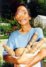 Copyright: Ute Glaser