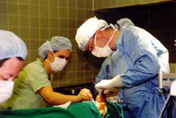 Copyright: Ute Glaser