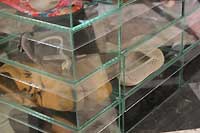 Foto/Copyright: Ute Glaser