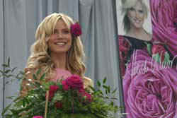 Foto/Copyright: Ute Glaser