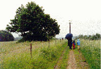 Regenspaziergang in K�rten, 2001