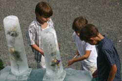 Foto/Copyright: Ute Glaser